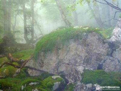 Urbasa-Andía;Aizkorri-Aratz;Aralar; parque nacional pirineos agencia viajes alternativos agencias v